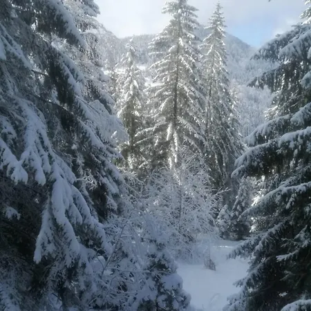 Ruza Vetrova A3
